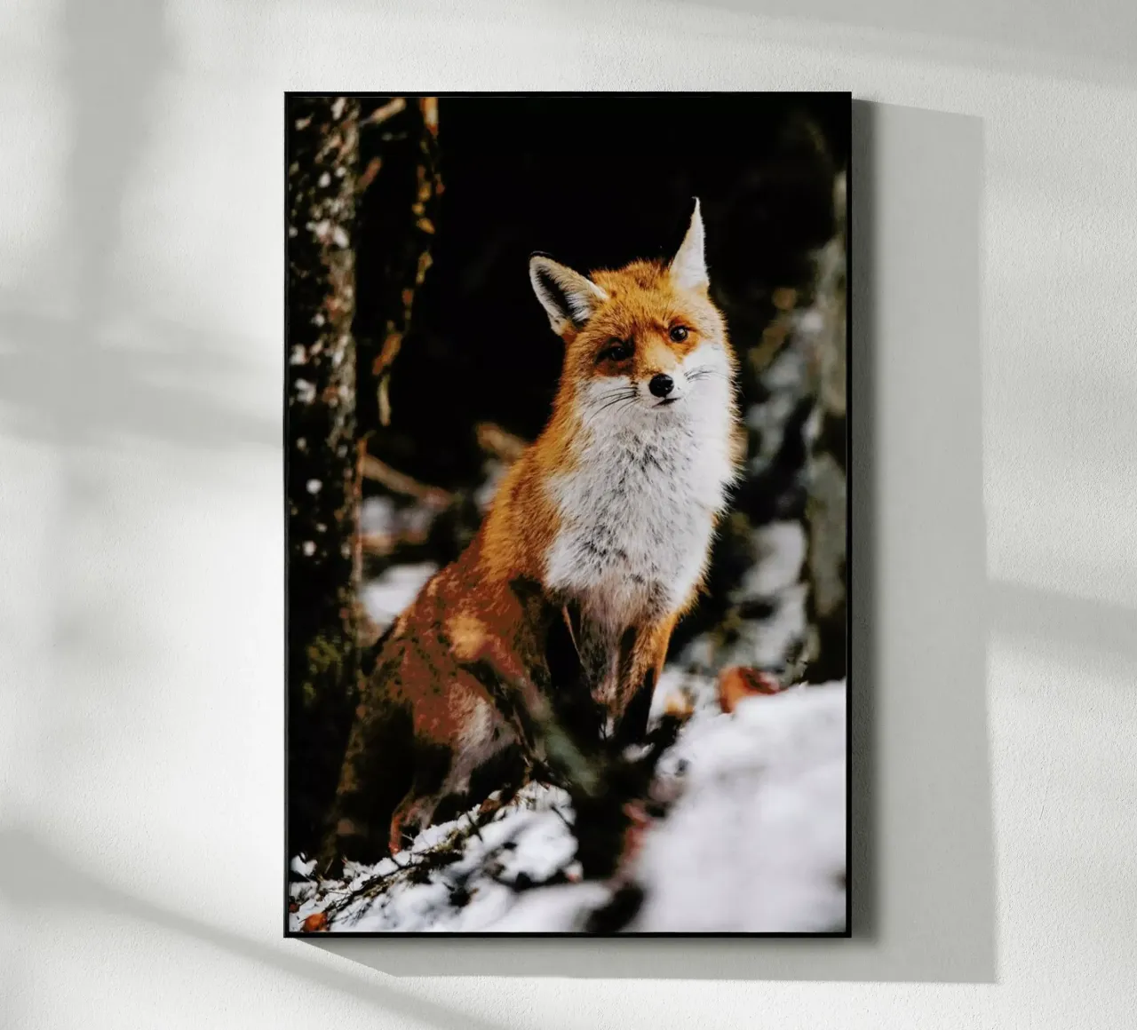 Red Fox plexiglass da EyeEm Mobile GmbH