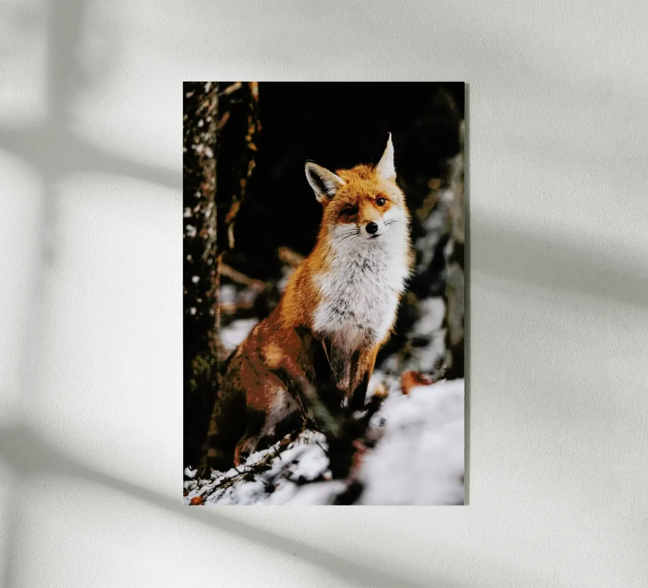 Red Fox plexiglass da EyeEm Mobile GmbH