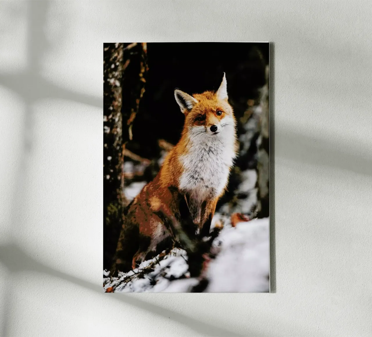 Red Fox tela con Cornice a cassetta da EyeEm Mobile GmbH