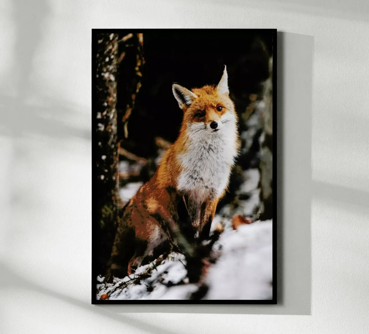 Red Fox carta hahnemühle da EyeEm Mobile GmbH