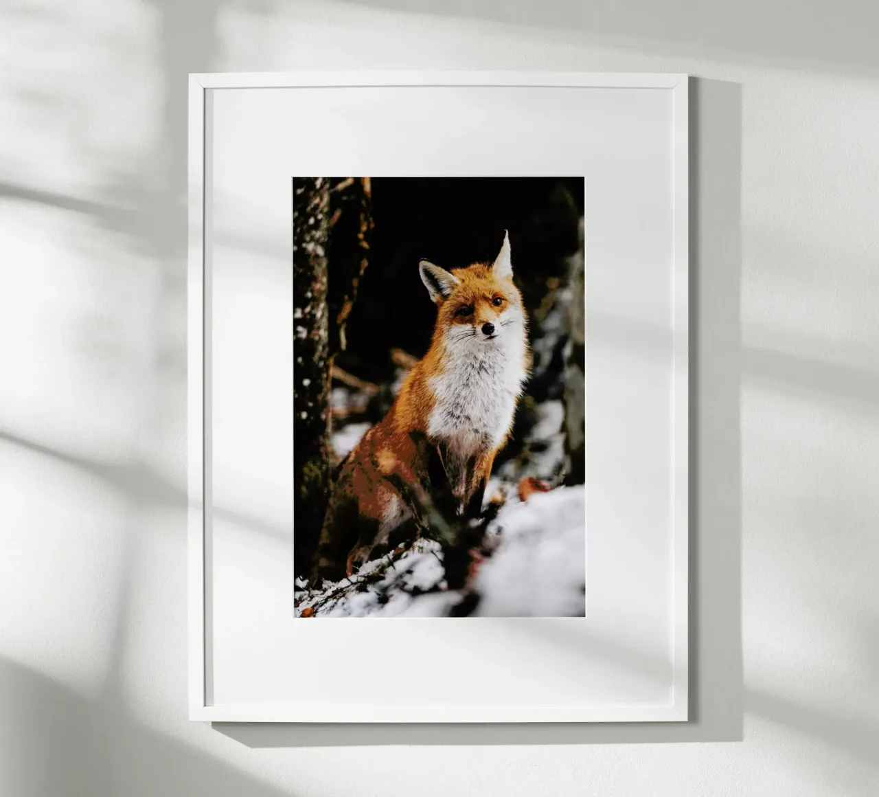 Red Fox poster da EyeEm Mobile GmbH