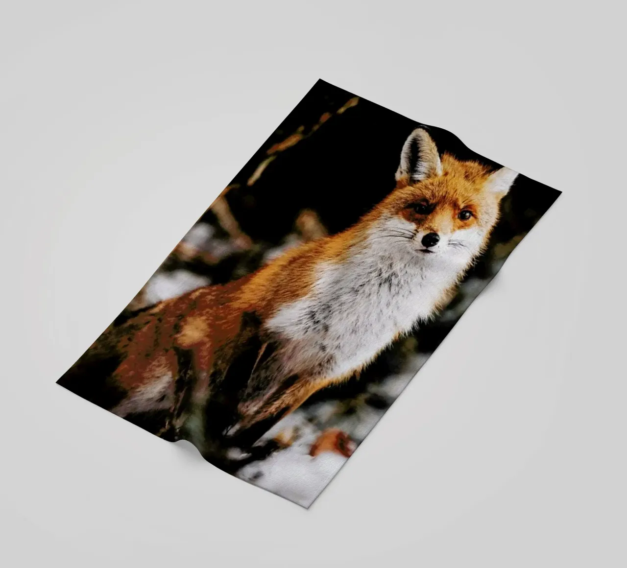 Red Fox telo mare da EyeEm Mobile GmbH