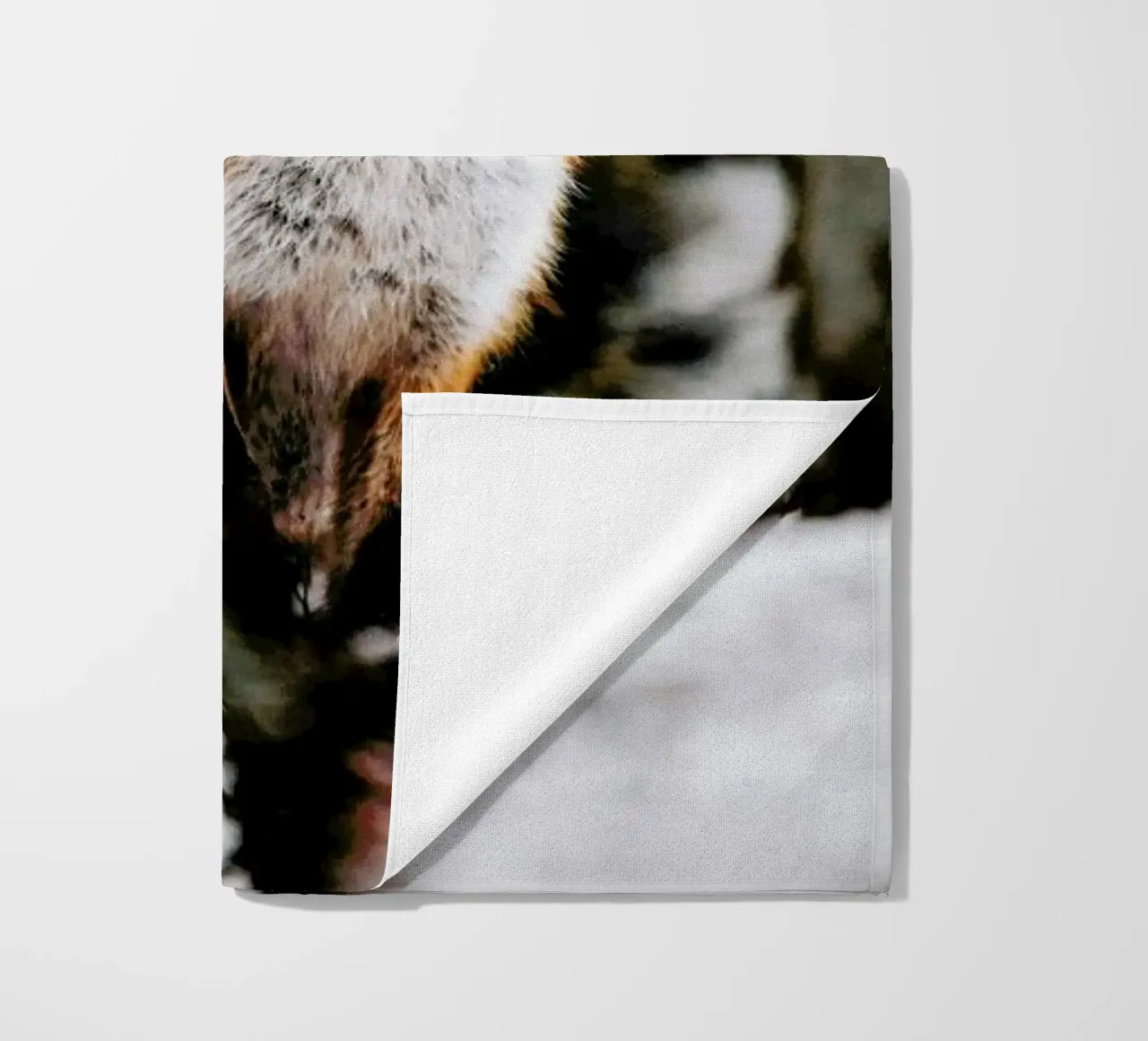 Red Fox telo mare da EyeEm Mobile GmbH