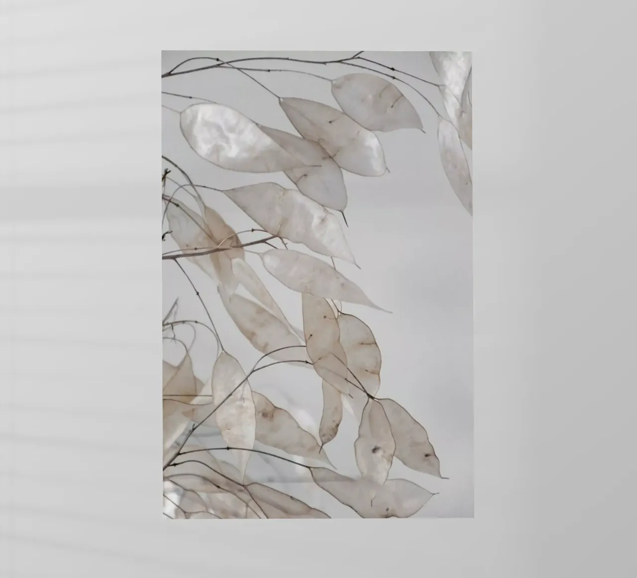 Abstract Branches Collected in the Forest Backlit Folie von Studio Nahili
