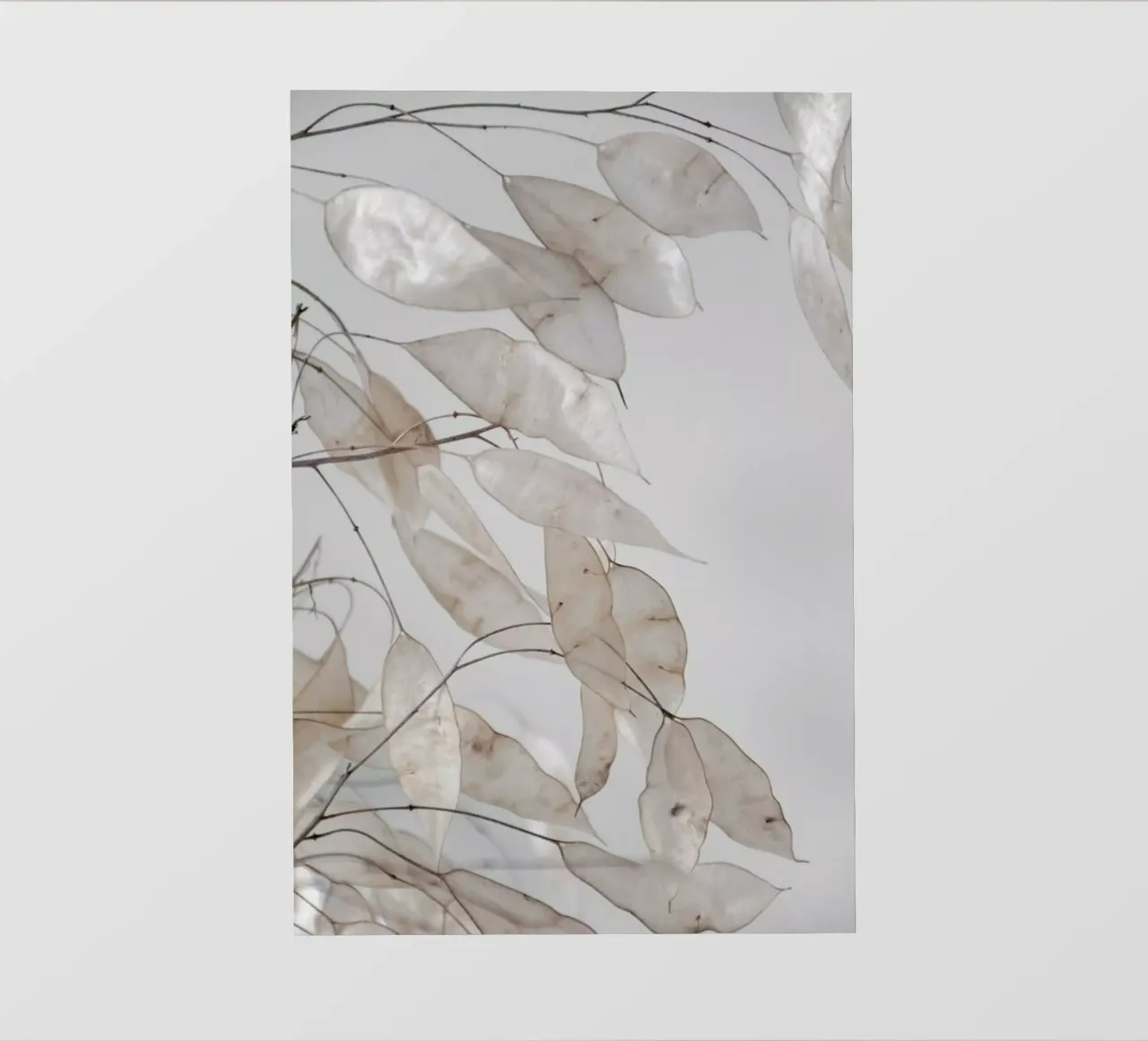 Abstract Branches Collected in the Forest Backlit Folie von Studio Nahili
