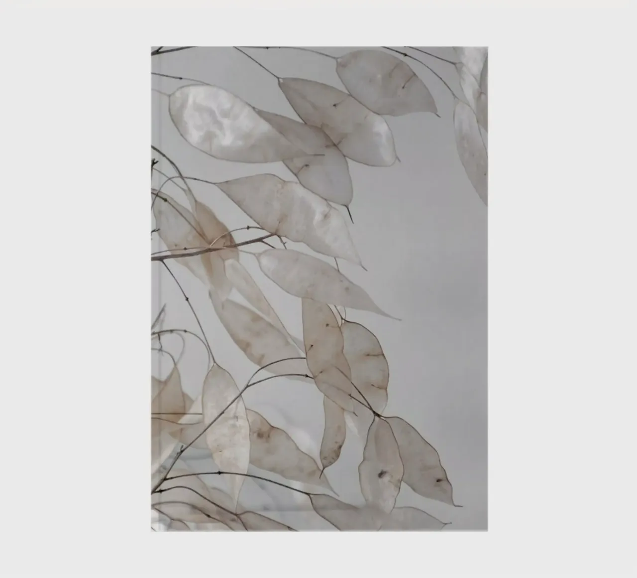Abstract Branches Collected in the Forest notebook by Studio Nahili