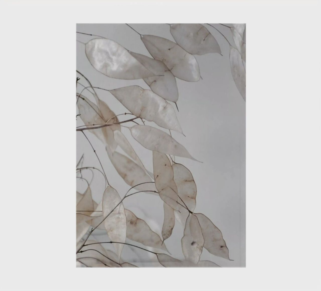 Abstract Branches Collected in the Forest diario da Studio Nahili