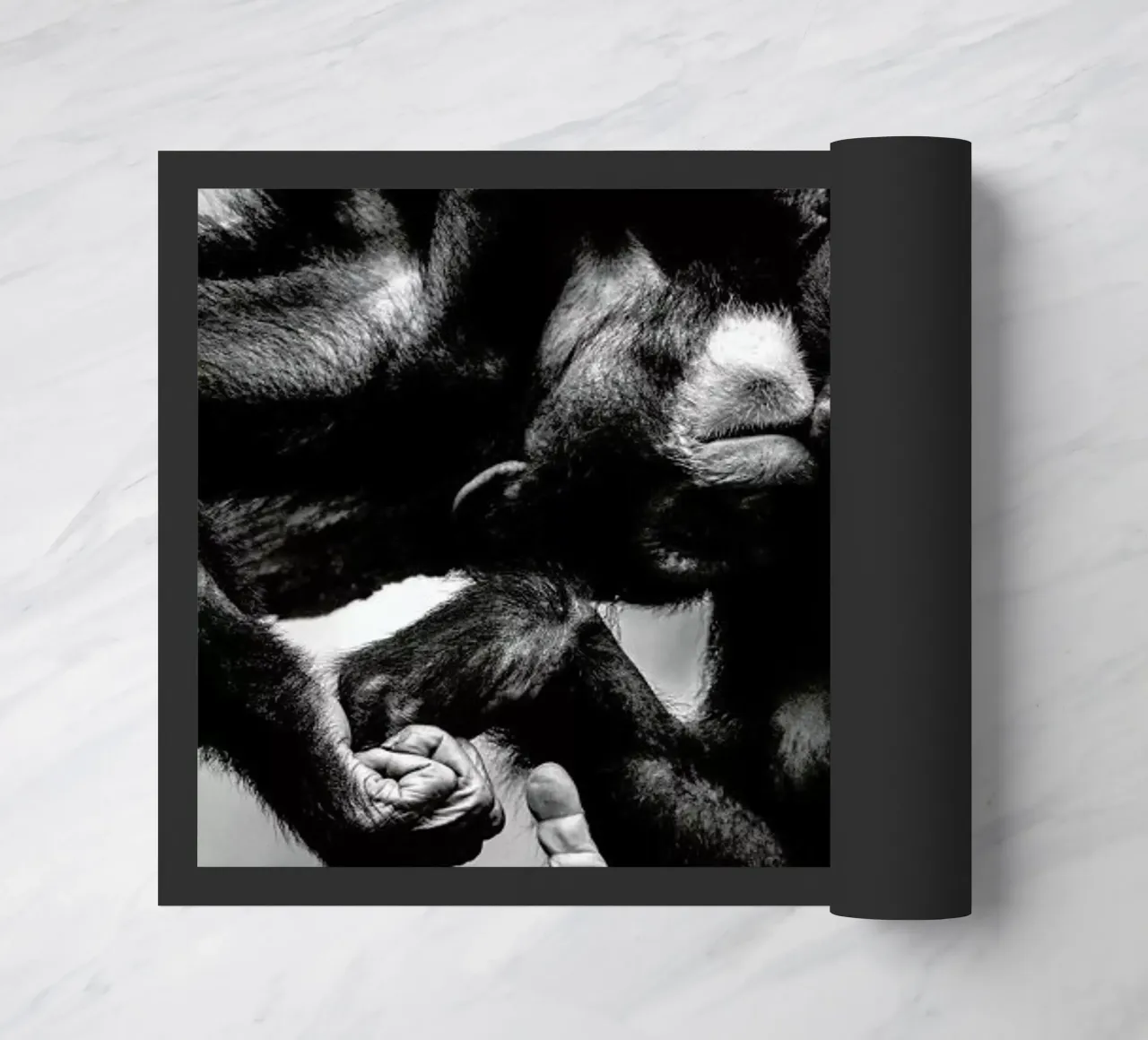 Natural Affection zerbino da Natural Kingdom