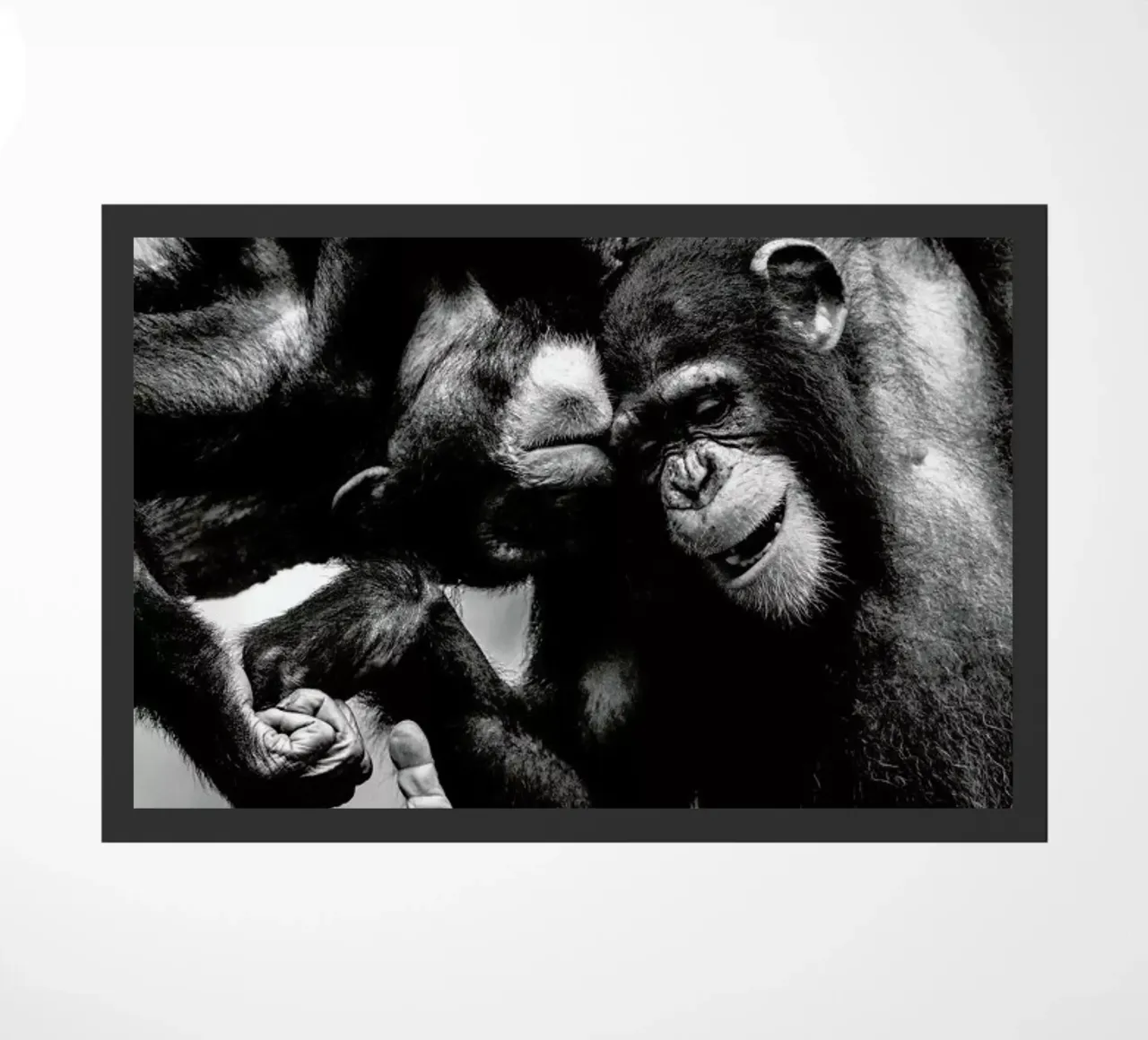 Natural Affection zerbino da Natural Kingdom