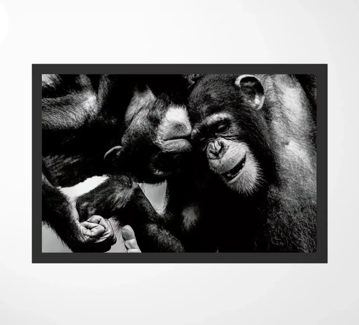 Natural Affection zerbino da Natural Kingdom