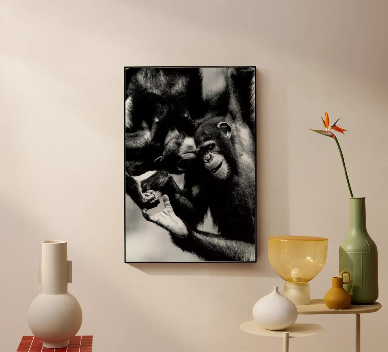 Natural Affection plexiglass da Natural Kingdom