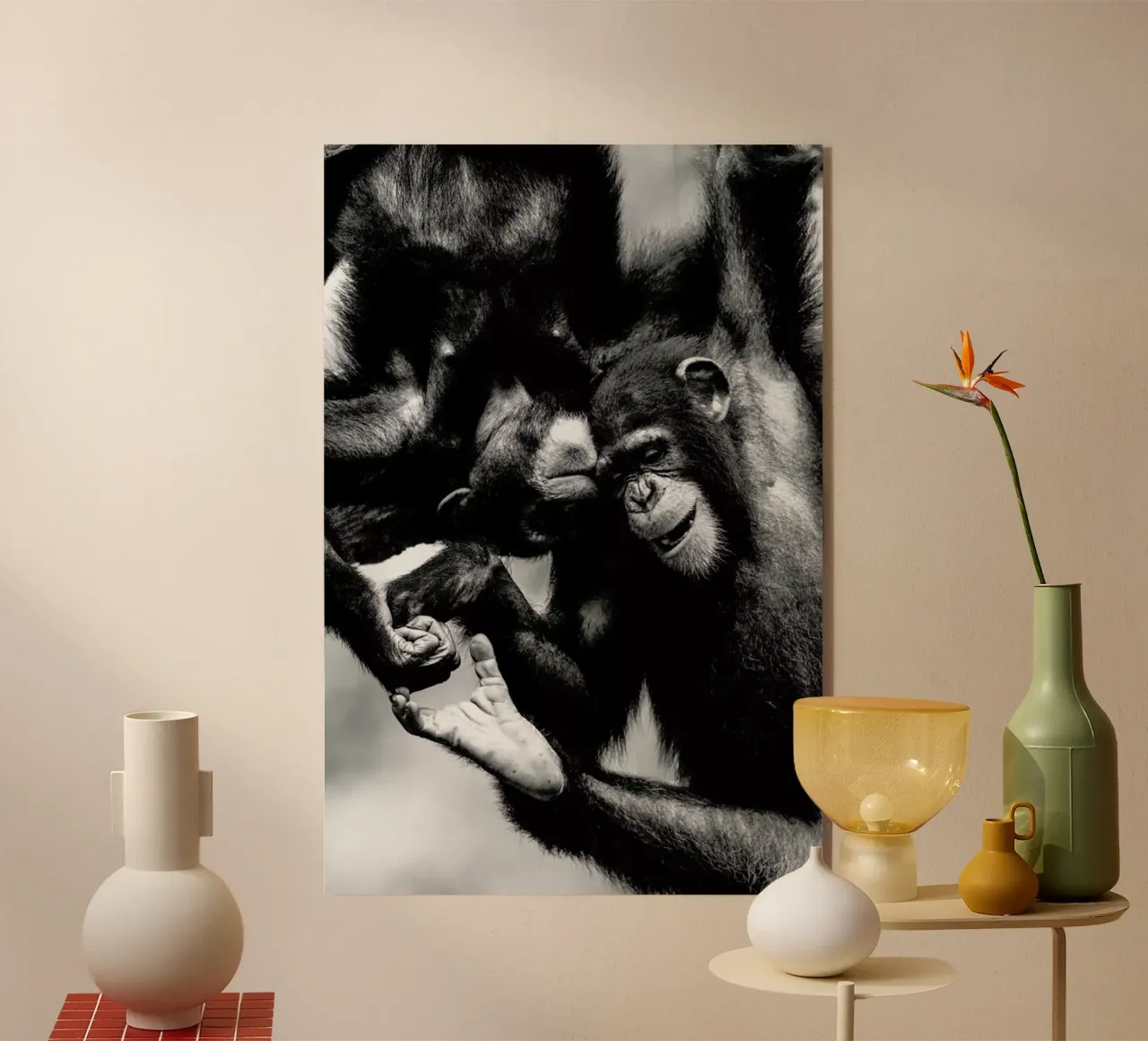 Natural Affection plexiglass da Natural Kingdom