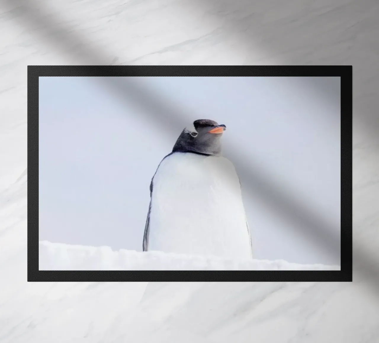 A Penguin Observes His Kingdom zerbino da EyeEm Mobile GmbH
