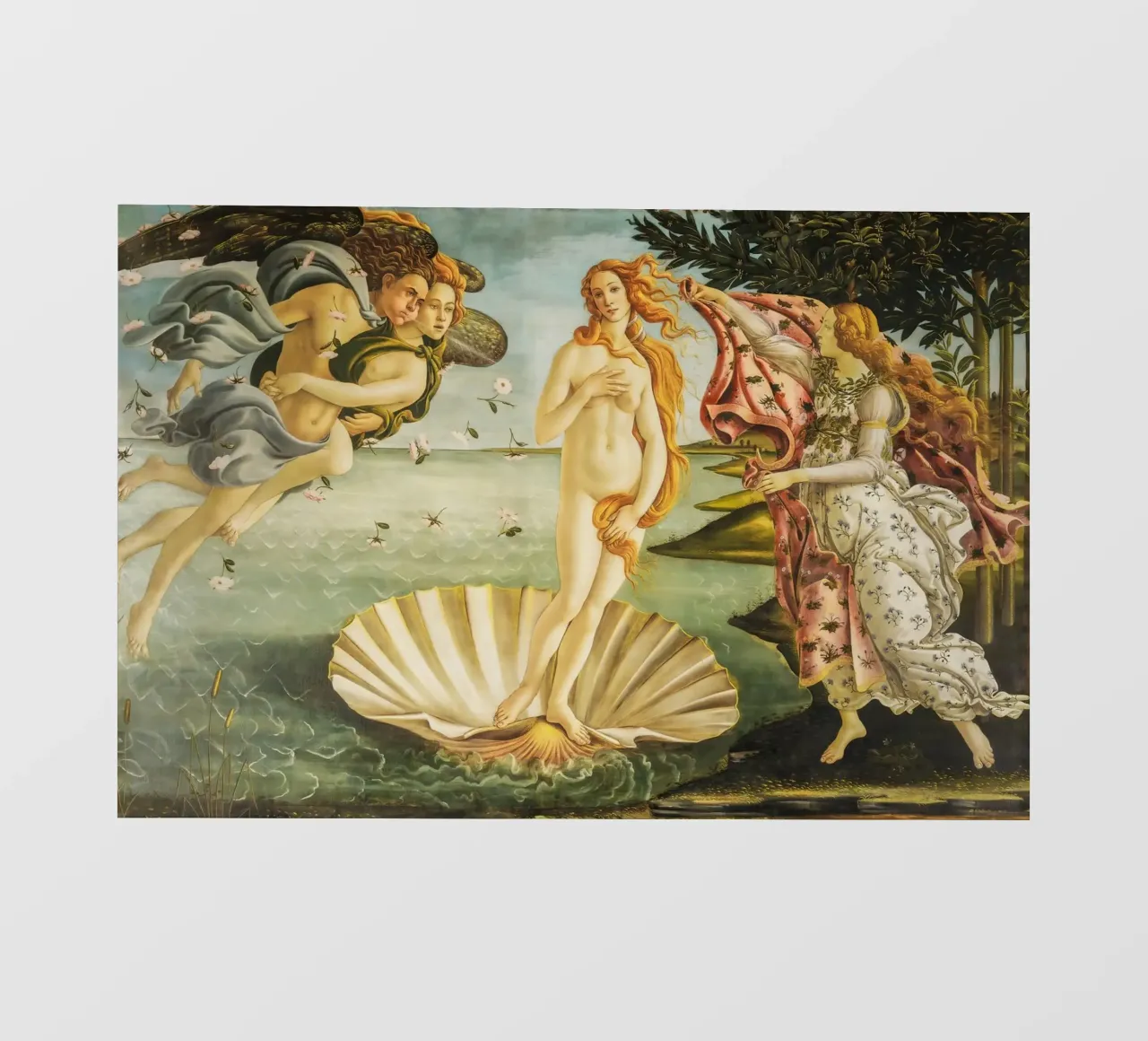 Botticelli, Nascita di Venere pellicola backlit da Carinaprint