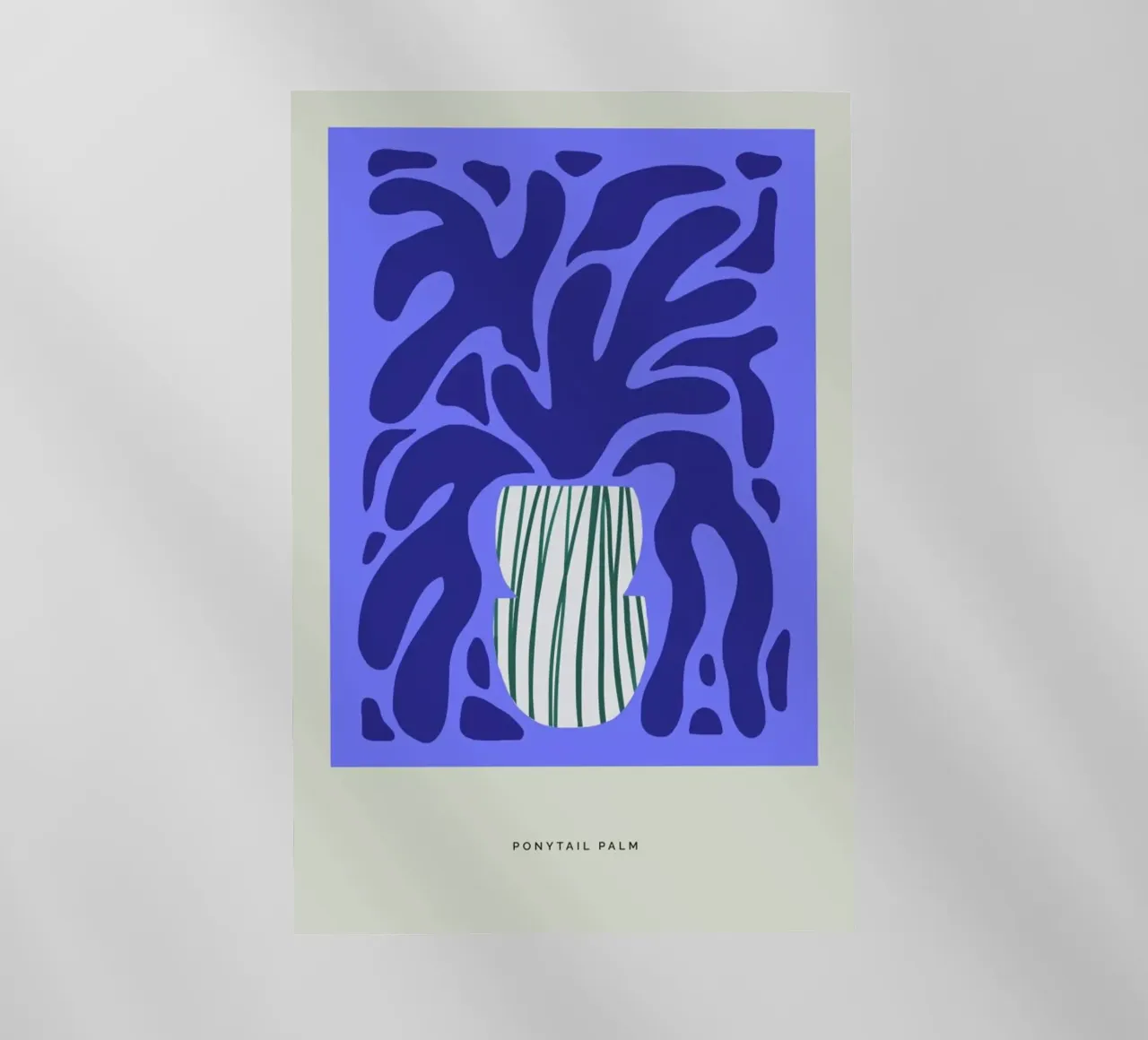 Ponytail Palm pellicola backlit da Studio One