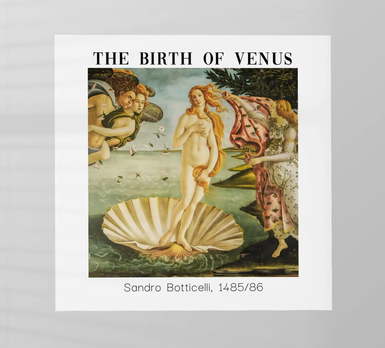 Conchiglia e Venere di Sandro Botticelli pellicola backlit da Carinaprint
