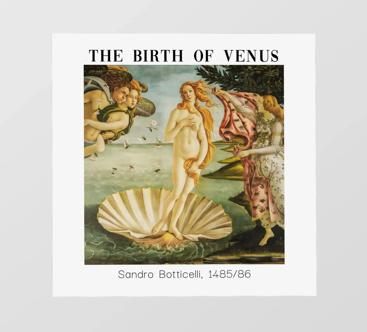 Conchiglia e Venere di Sandro Botticelli telo in pvc da Carinaprint