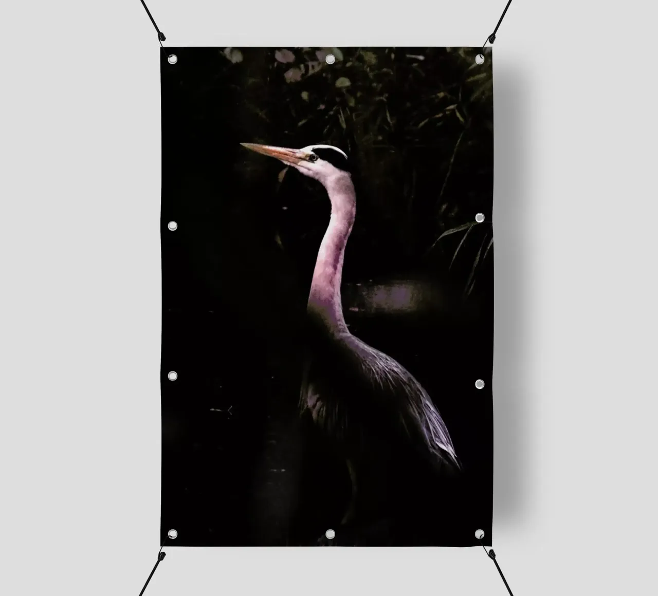 Stork pvc cover by Natural Kingdom