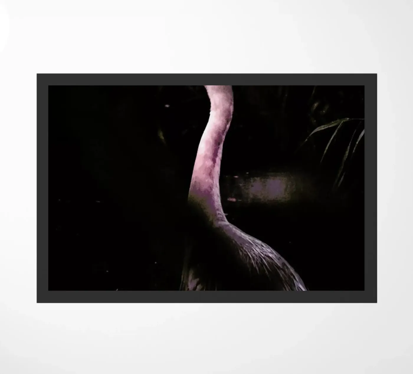 Stork zerbino da Natural Kingdom