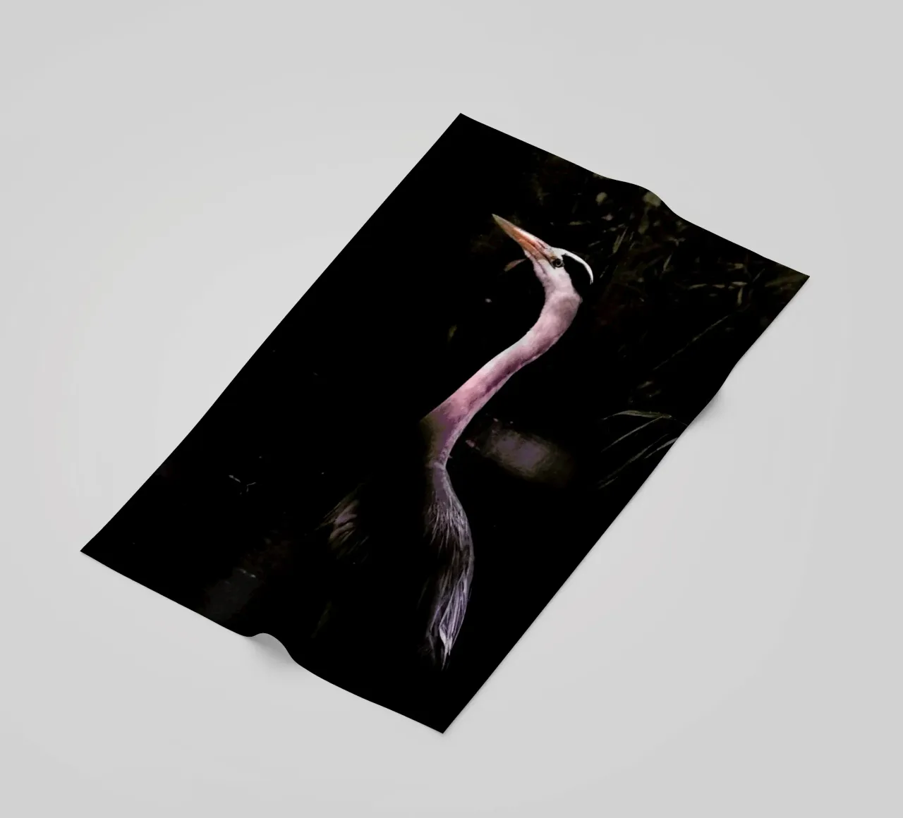 Stork telo mare da Natural Kingdom