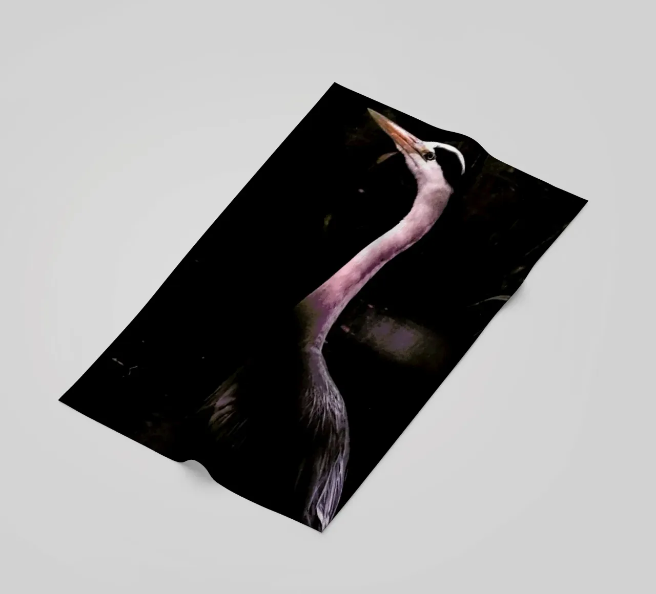 Stork telo mare da Natural Kingdom