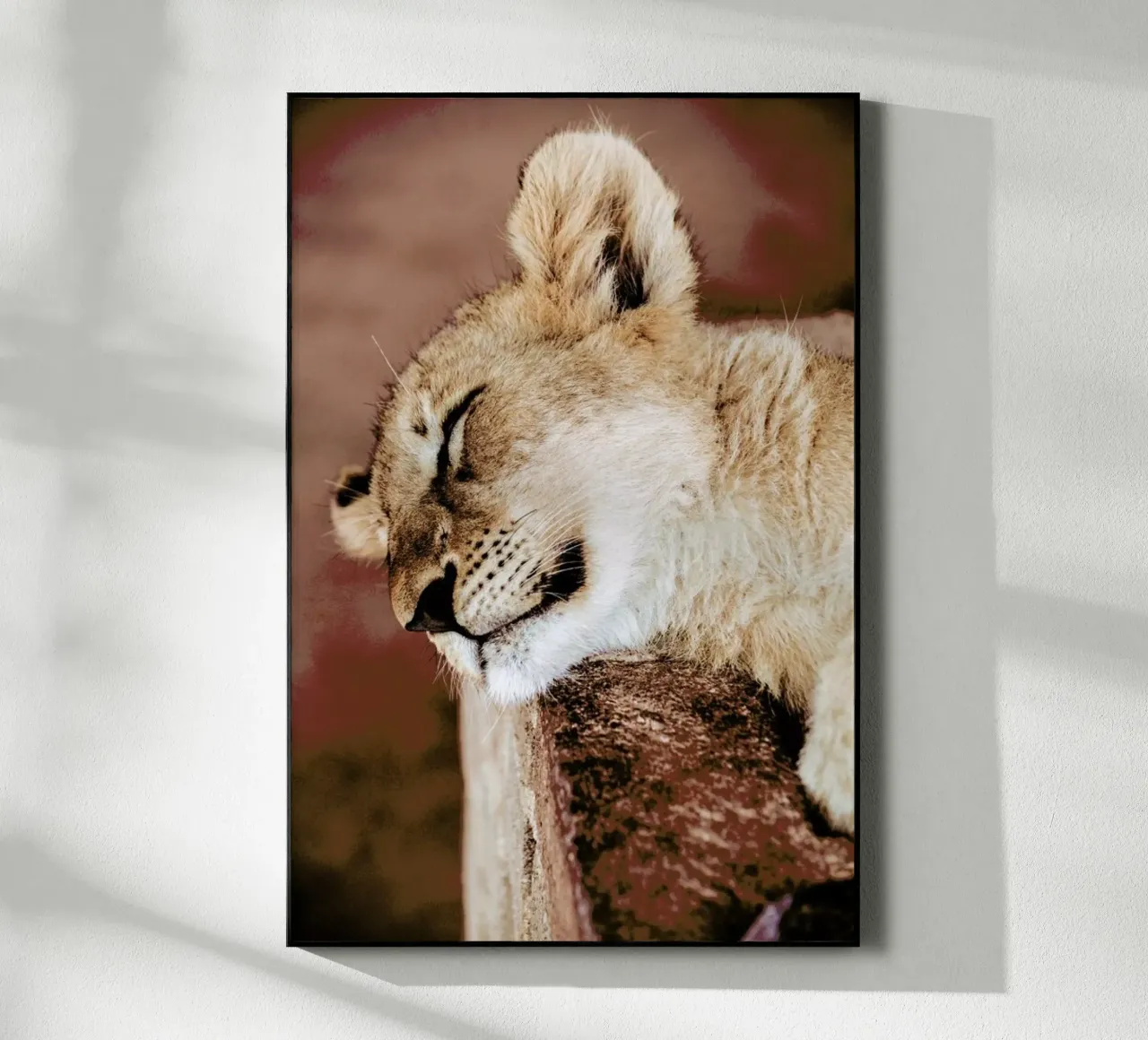 New Heights plexiglass da Natural Kingdom