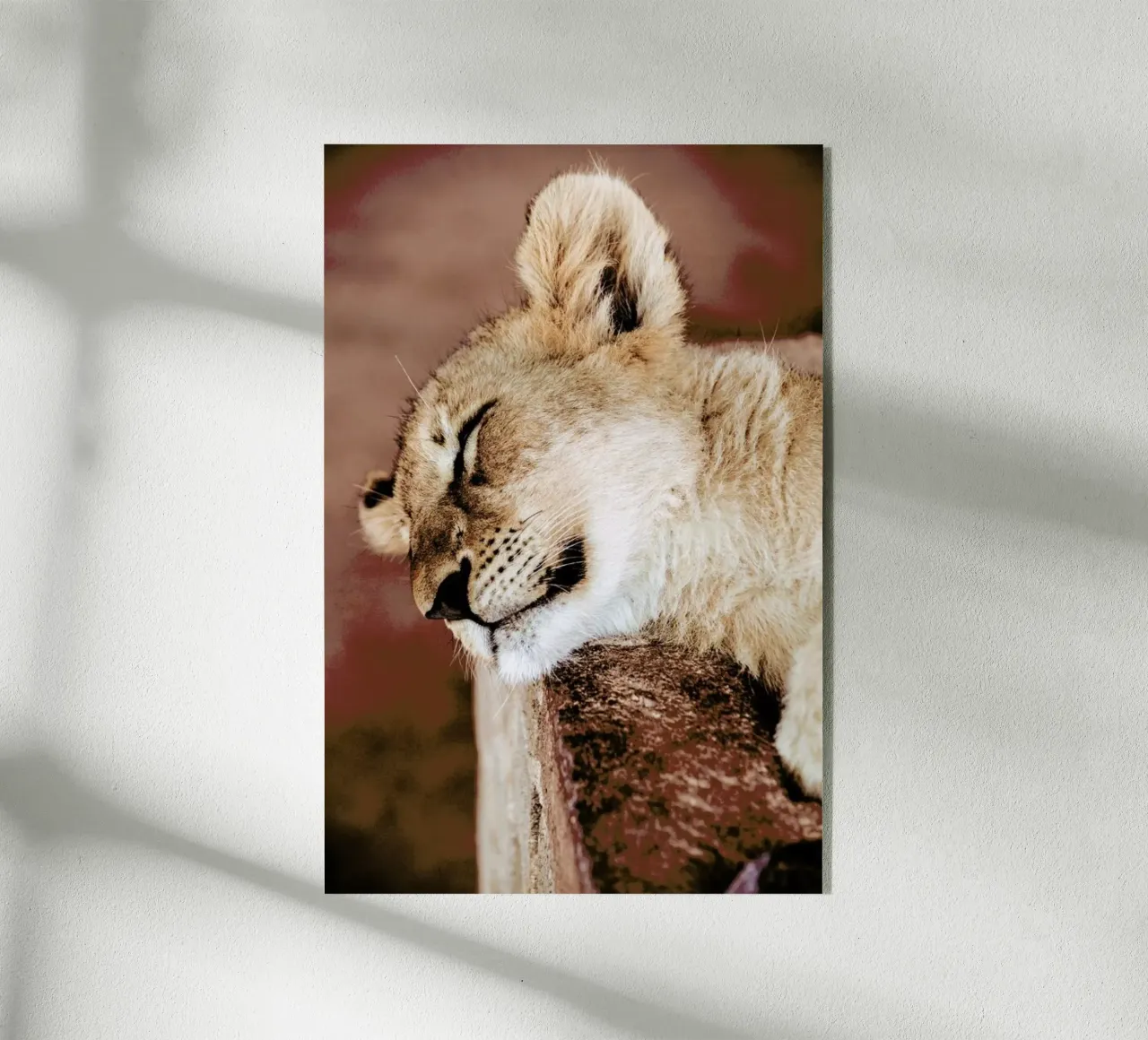 New Heights plexiglass da Natural Kingdom