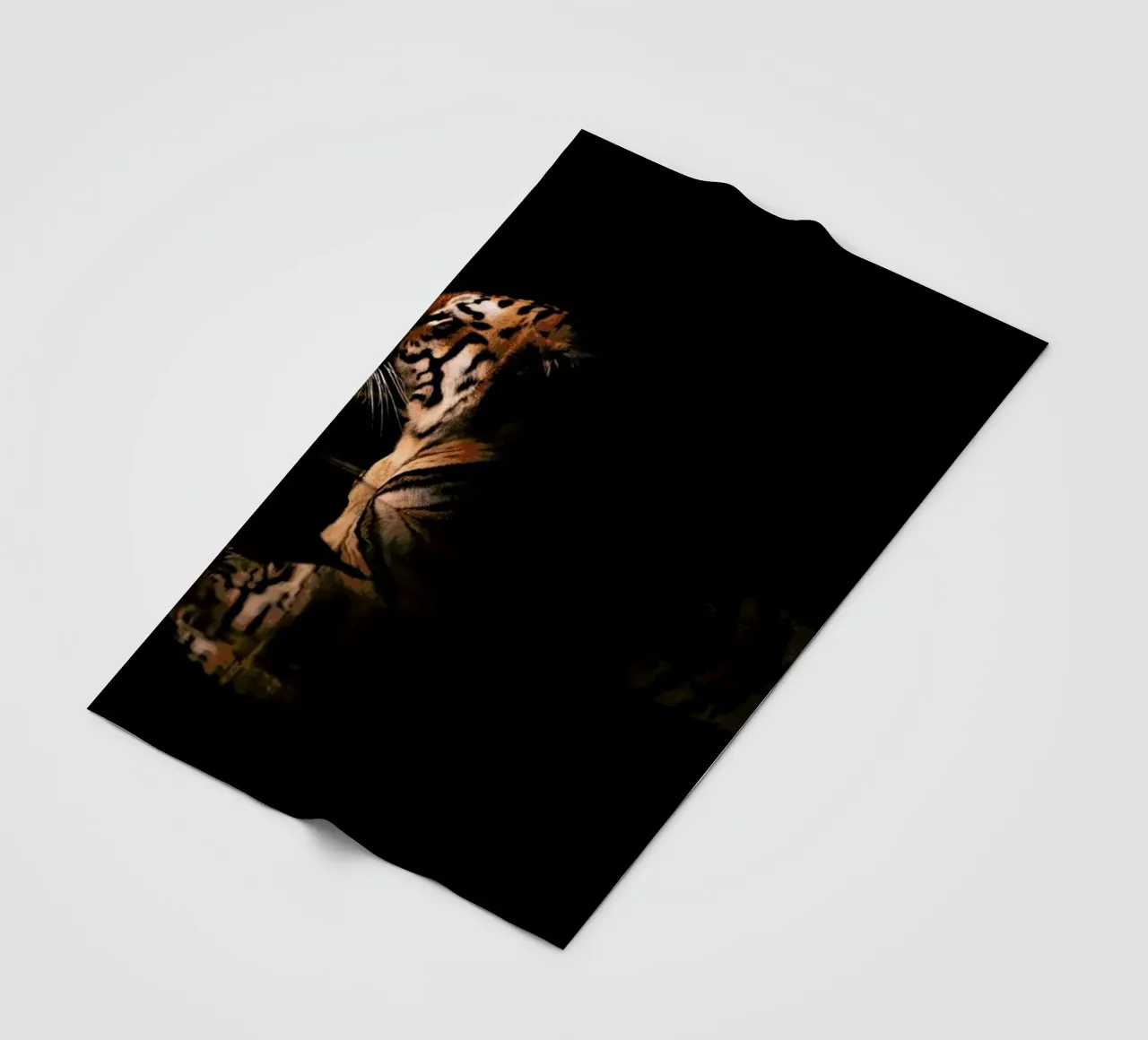Big Cat Bathing coperta in pile da Natural Kingdom