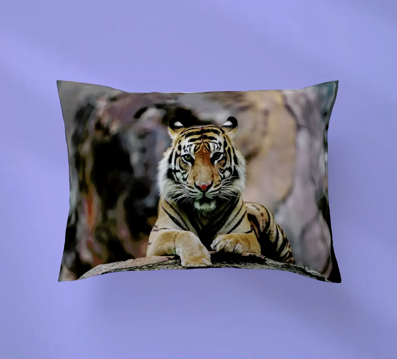 Resting Tiger cuscino da Natural Kingdom