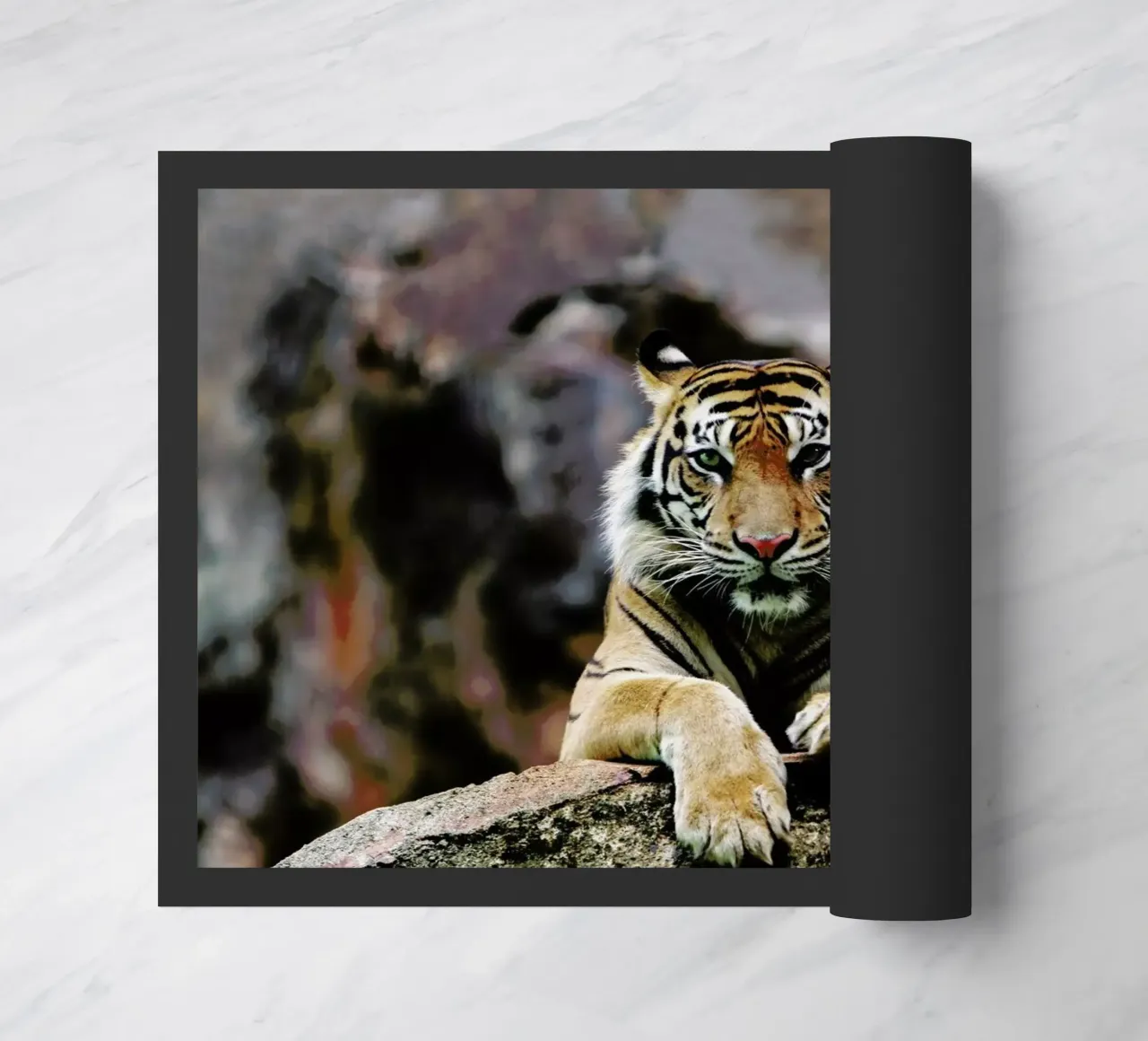 Resting Tiger zerbino da Natural Kingdom