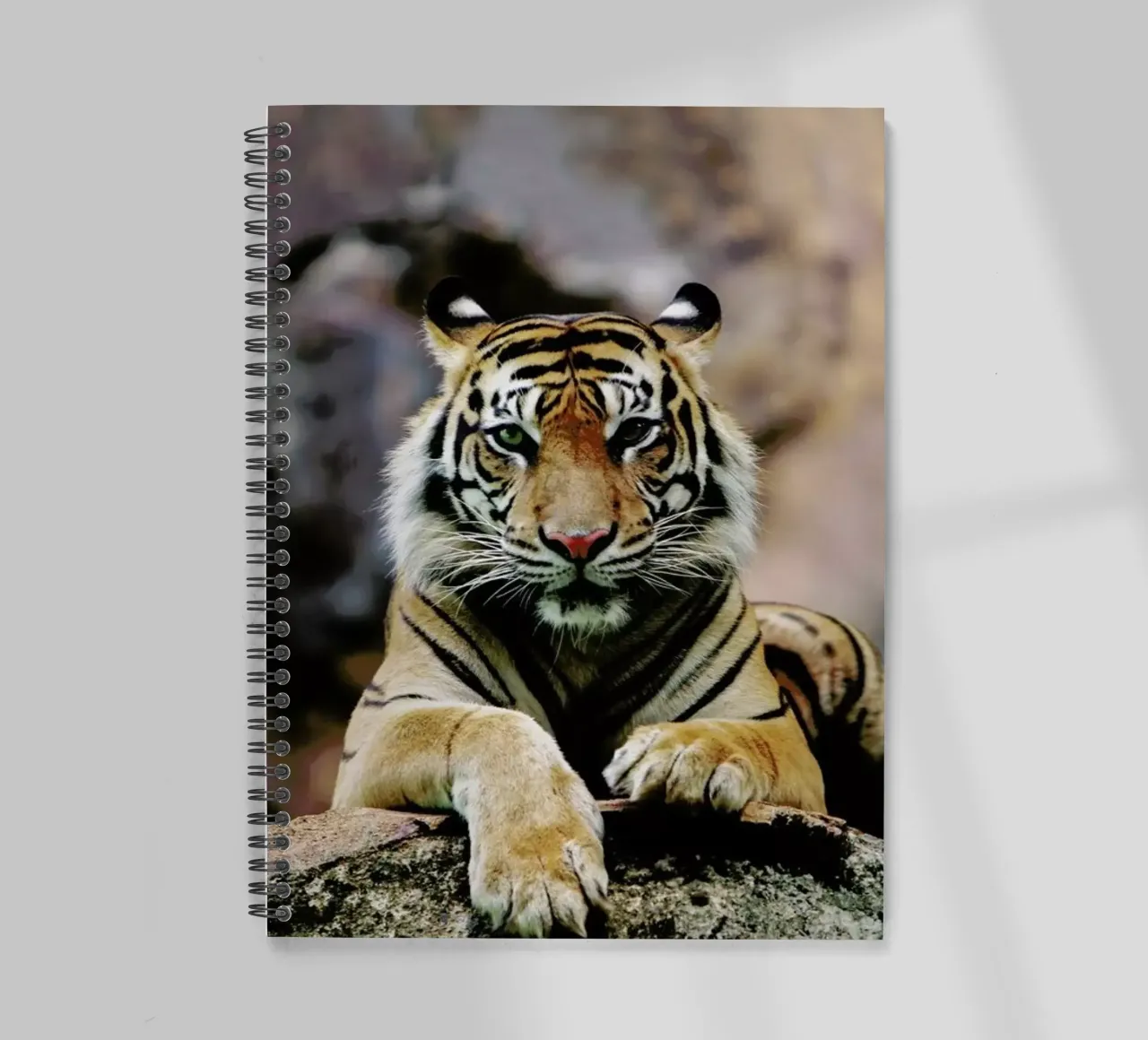 Resting Tiger diario ad anelli da Natural Kingdom