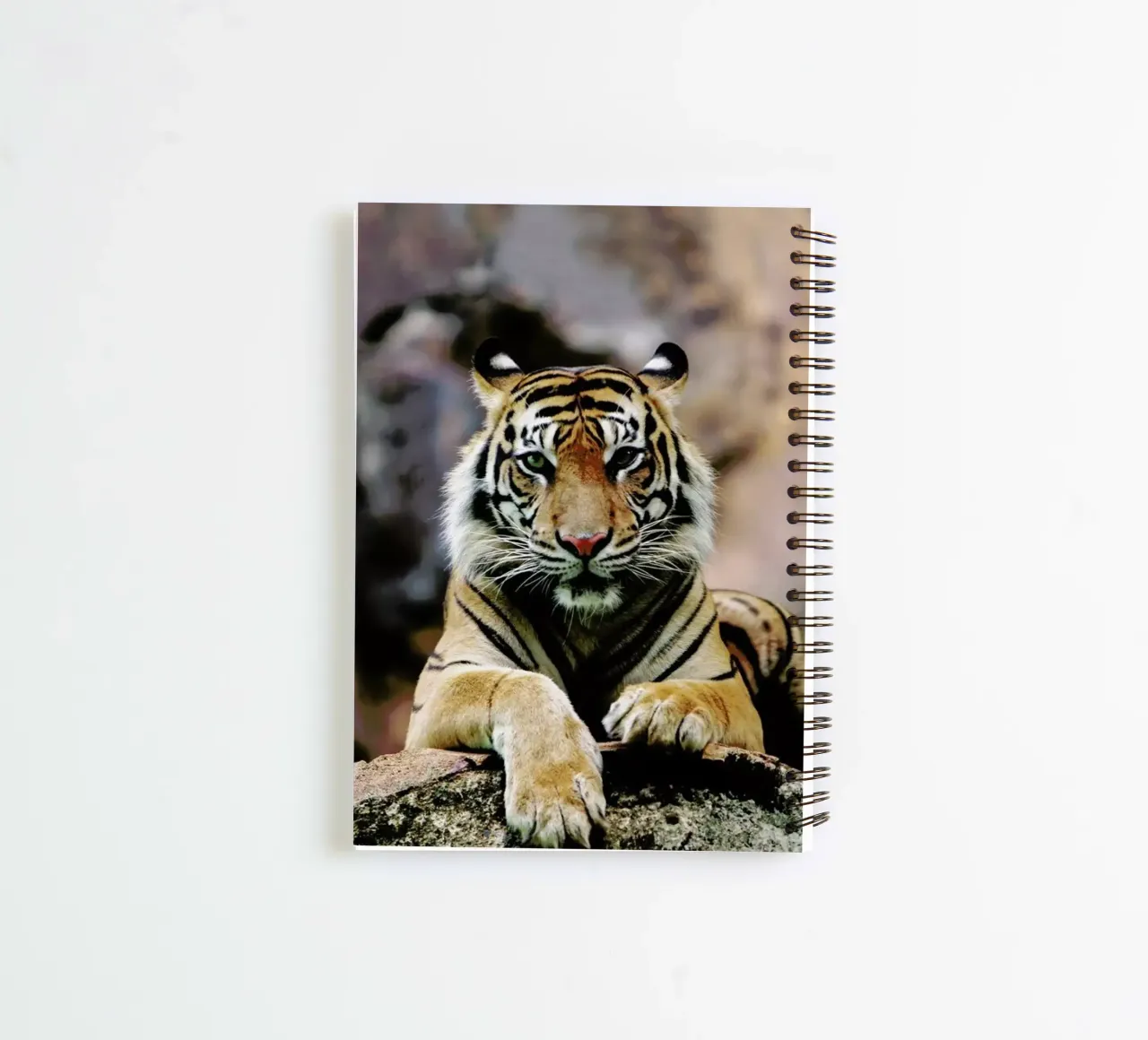 Resting Tiger diario ad anelli da Natural Kingdom
