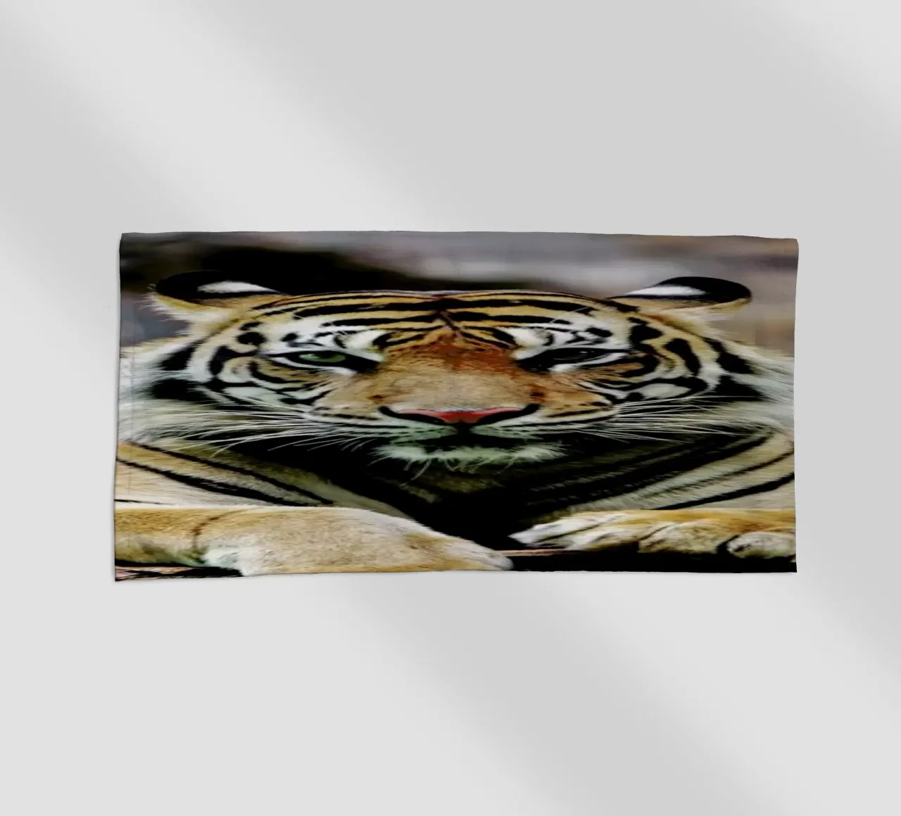 Resting Tiger telo mare da Natural Kingdom