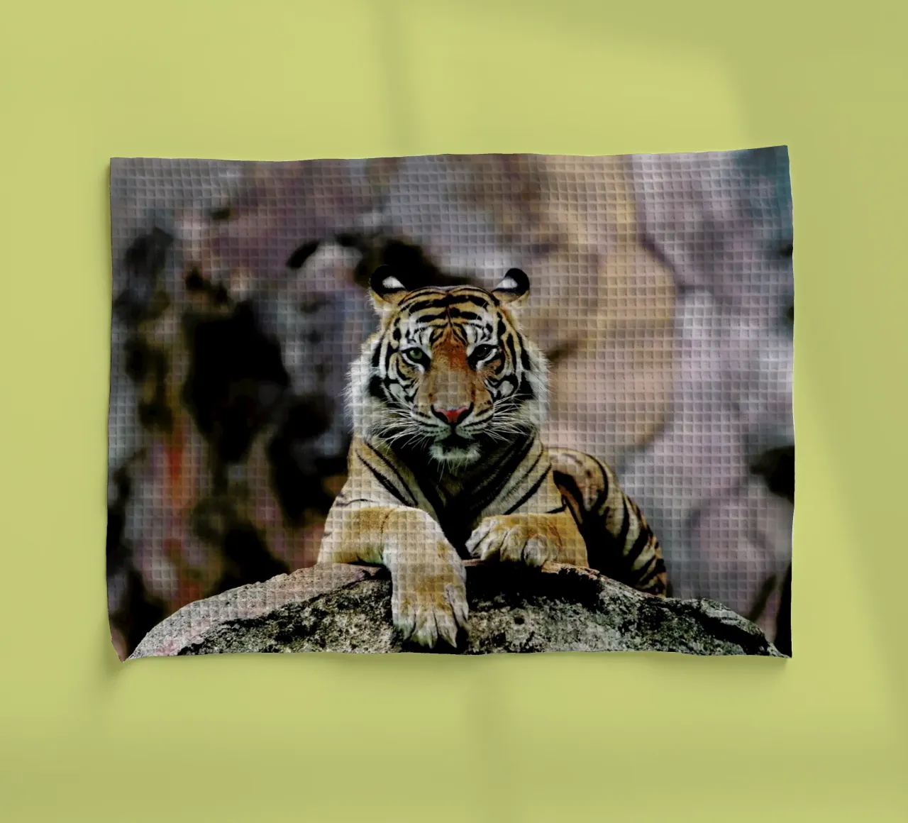 Resting Tiger canovaccio da cucina da Natural Kingdom