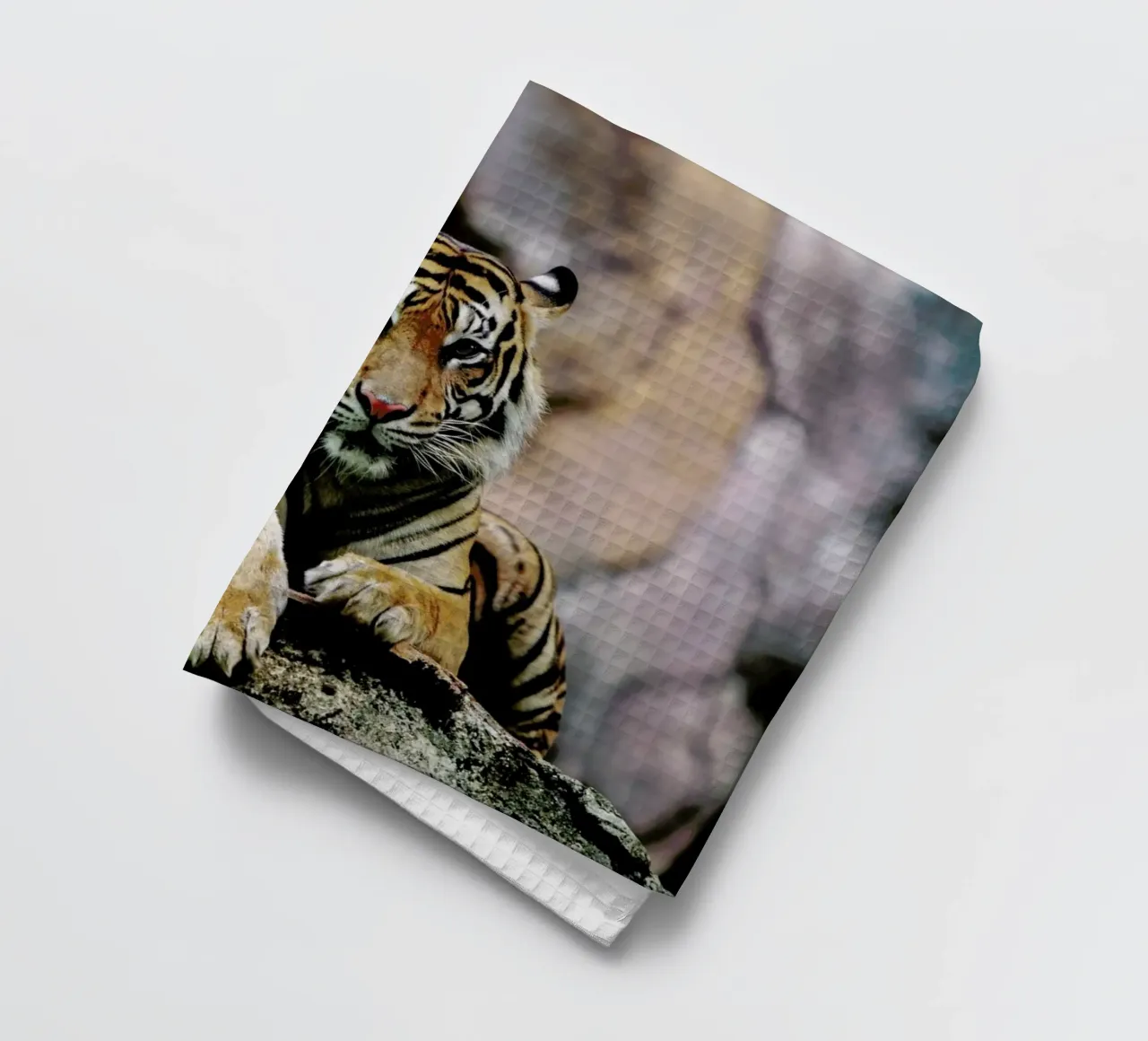 Resting Tiger canovaccio da cucina da Natural Kingdom