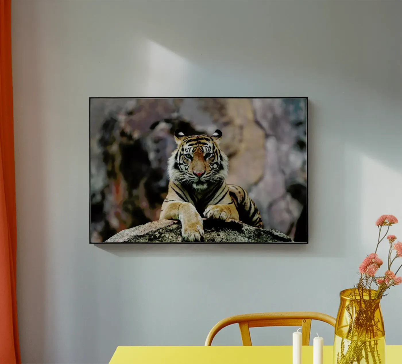 Resting Tiger plexiglas de Natural Kingdom