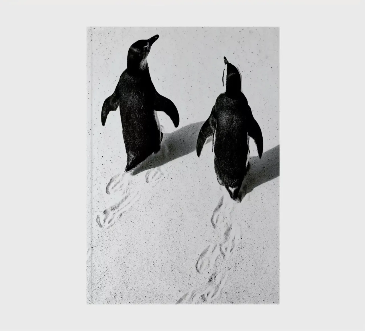 Journey Through Snow notebook by Natural Kingdom