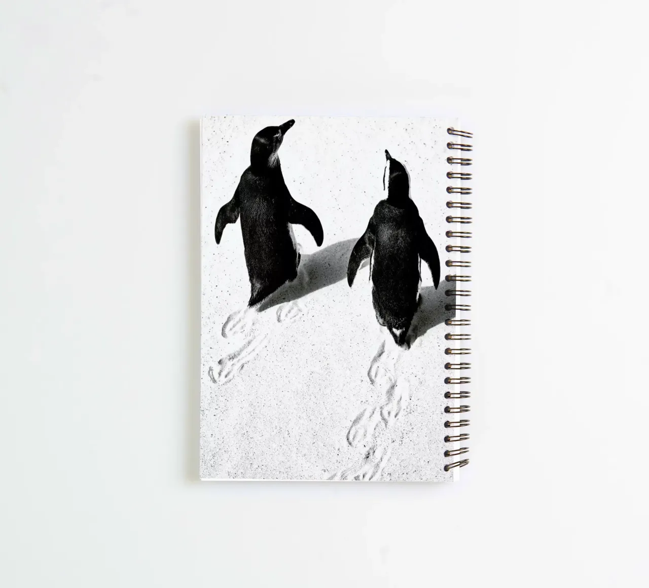 Journey Through Snow notitieboek met spiraal van Natural Kingdom