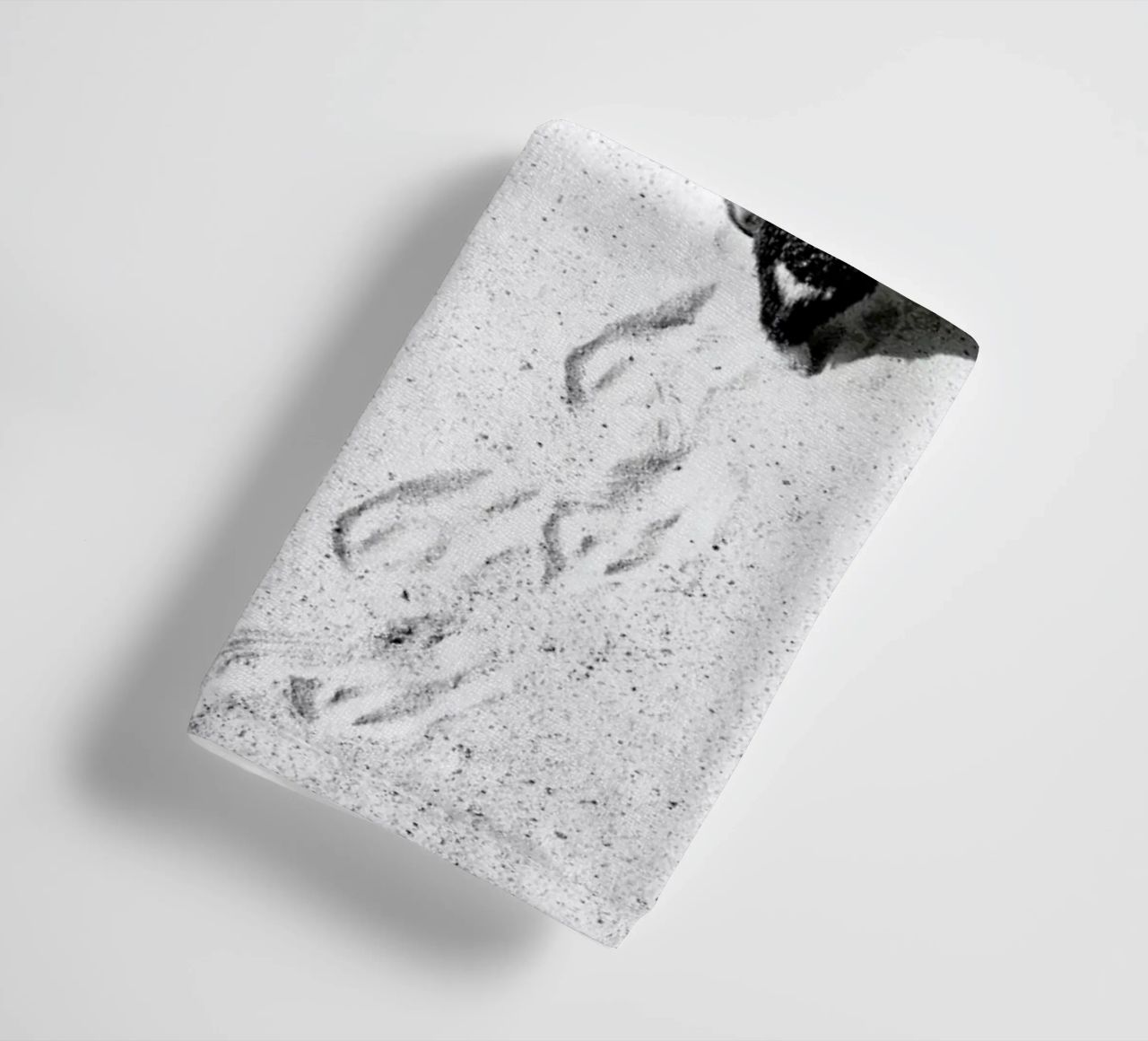 Journey Through Snow Handtuch von Natural Kingdom