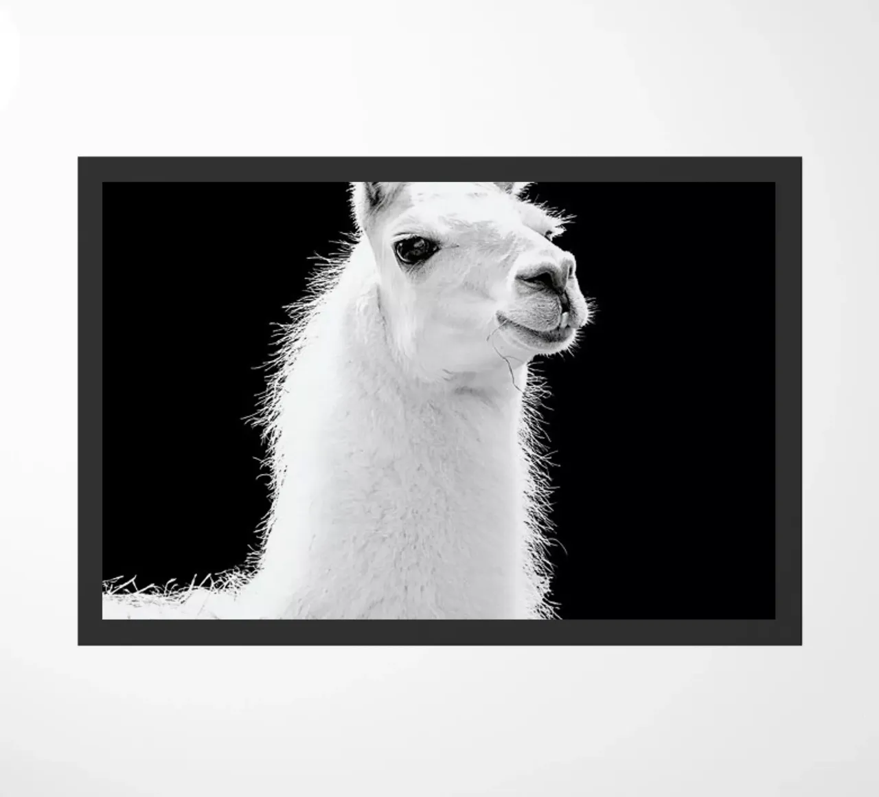 Llama deurmat van Natural Kingdom