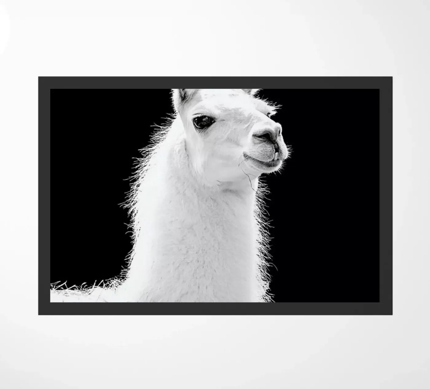 Llama deurmat van Natural Kingdom