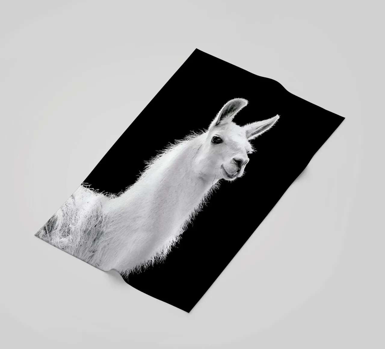 Llama telo mare da Natural Kingdom