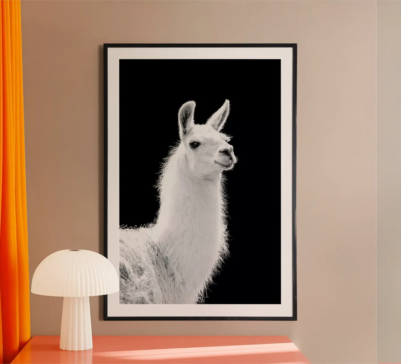 Llama poster da Natural Kingdom