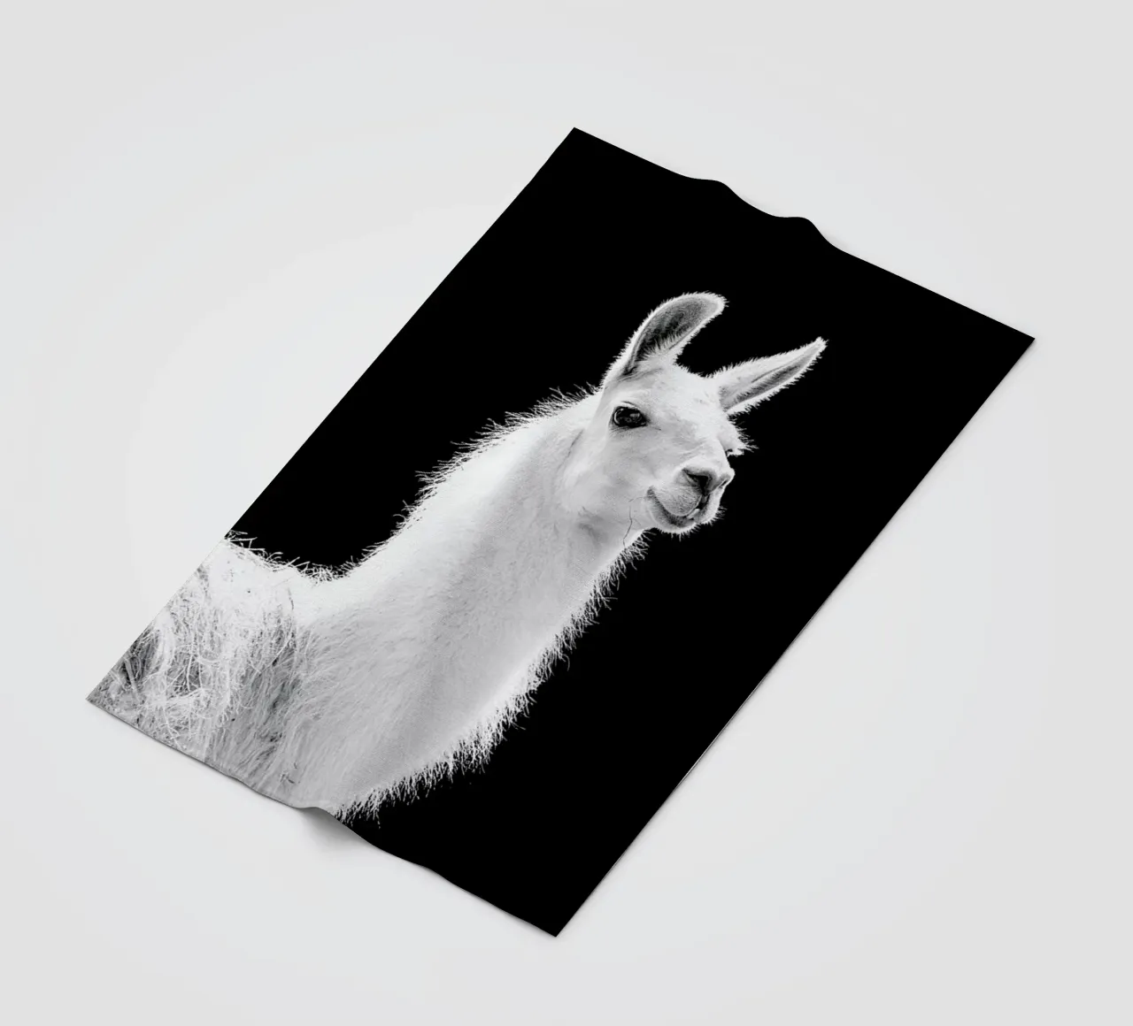 Llama coperta in pile da Natural Kingdom