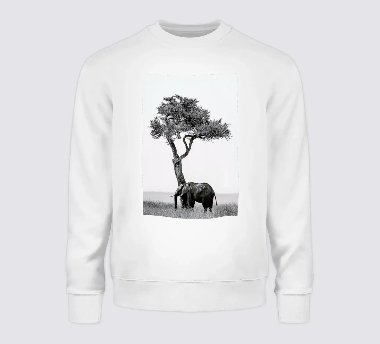 In the Shade sweatshirt by Natural Kingdom