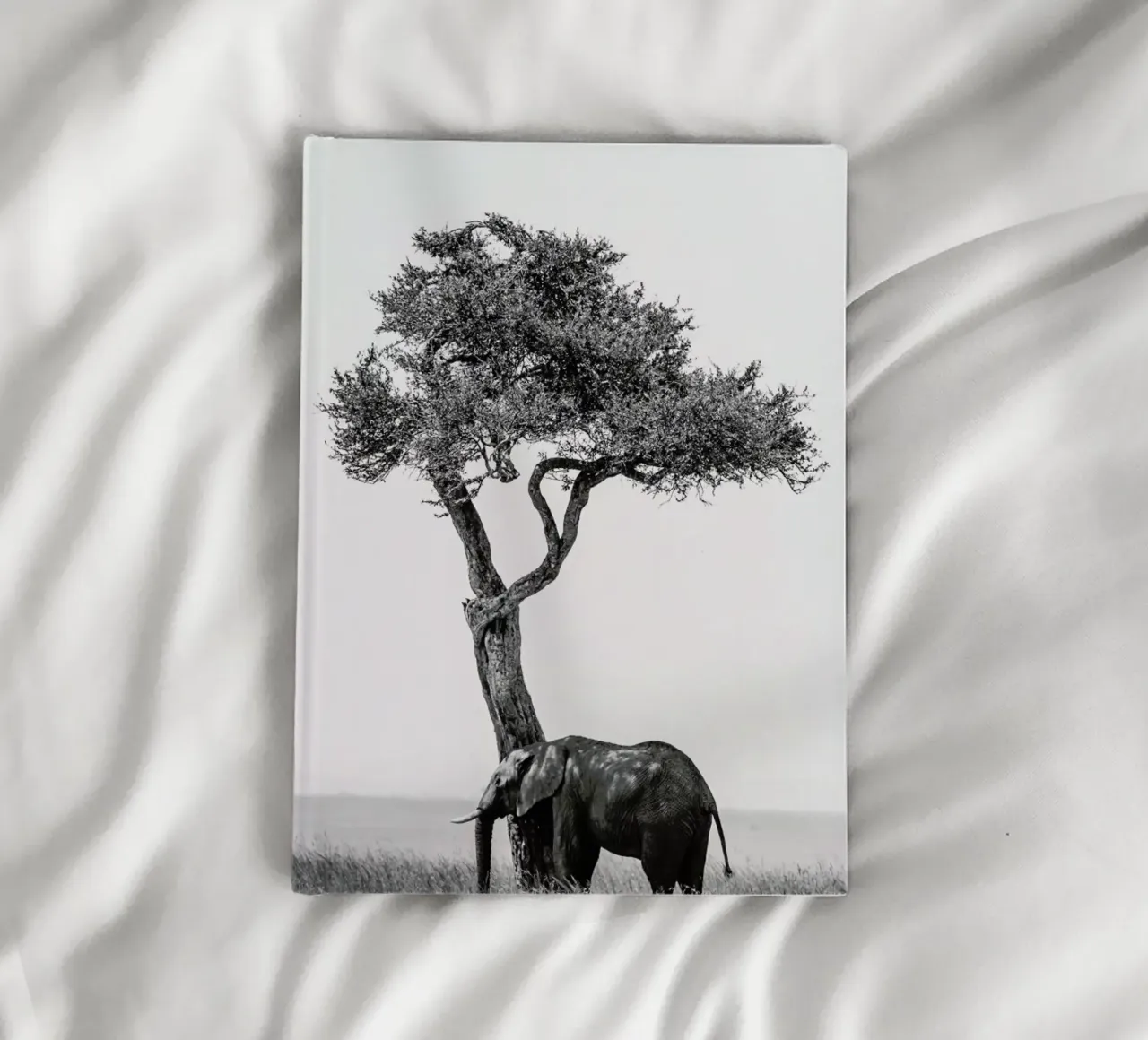 In the Shade notebook by Natural Kingdom
