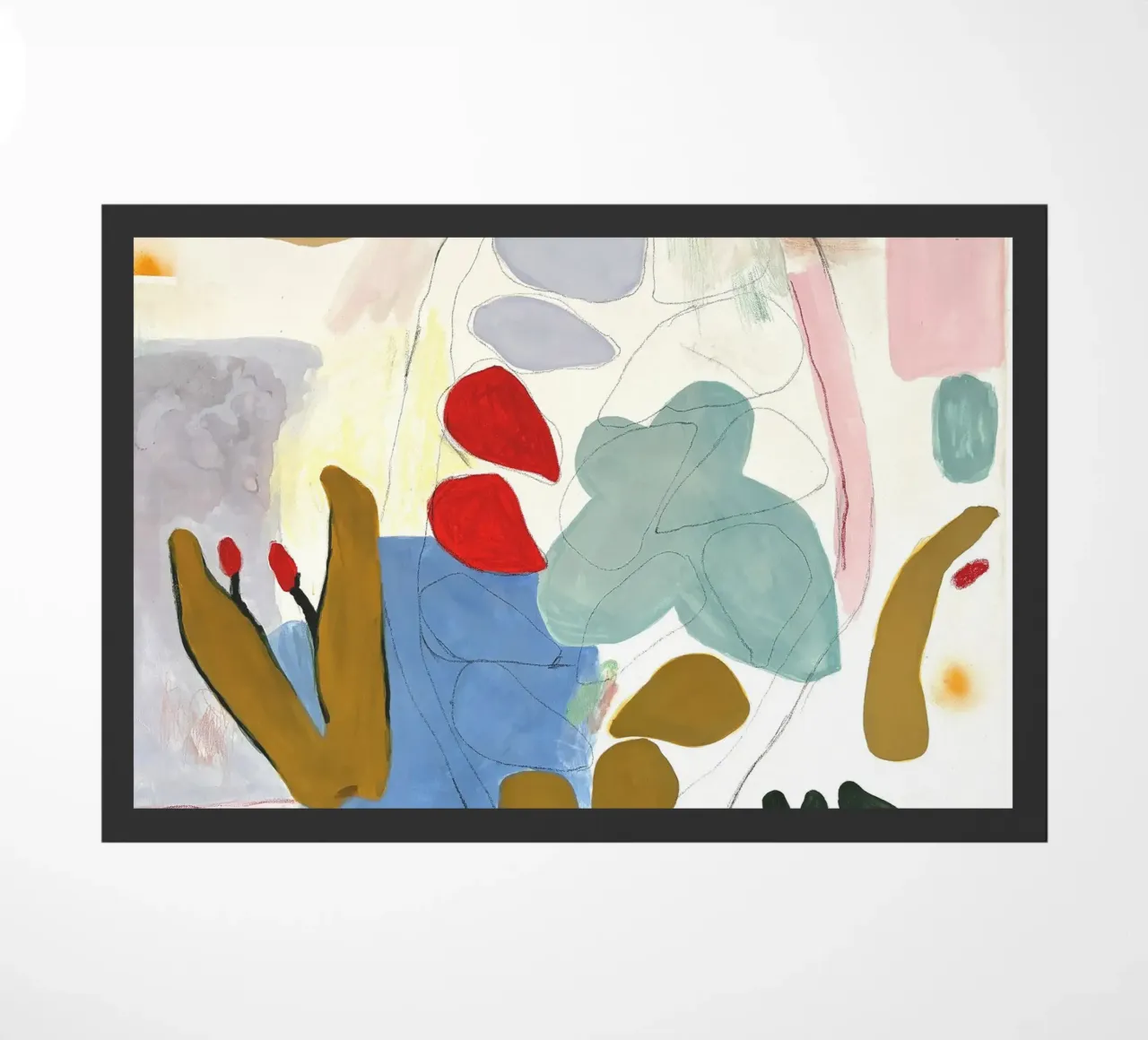 Cocoa zerbino da Silvaya