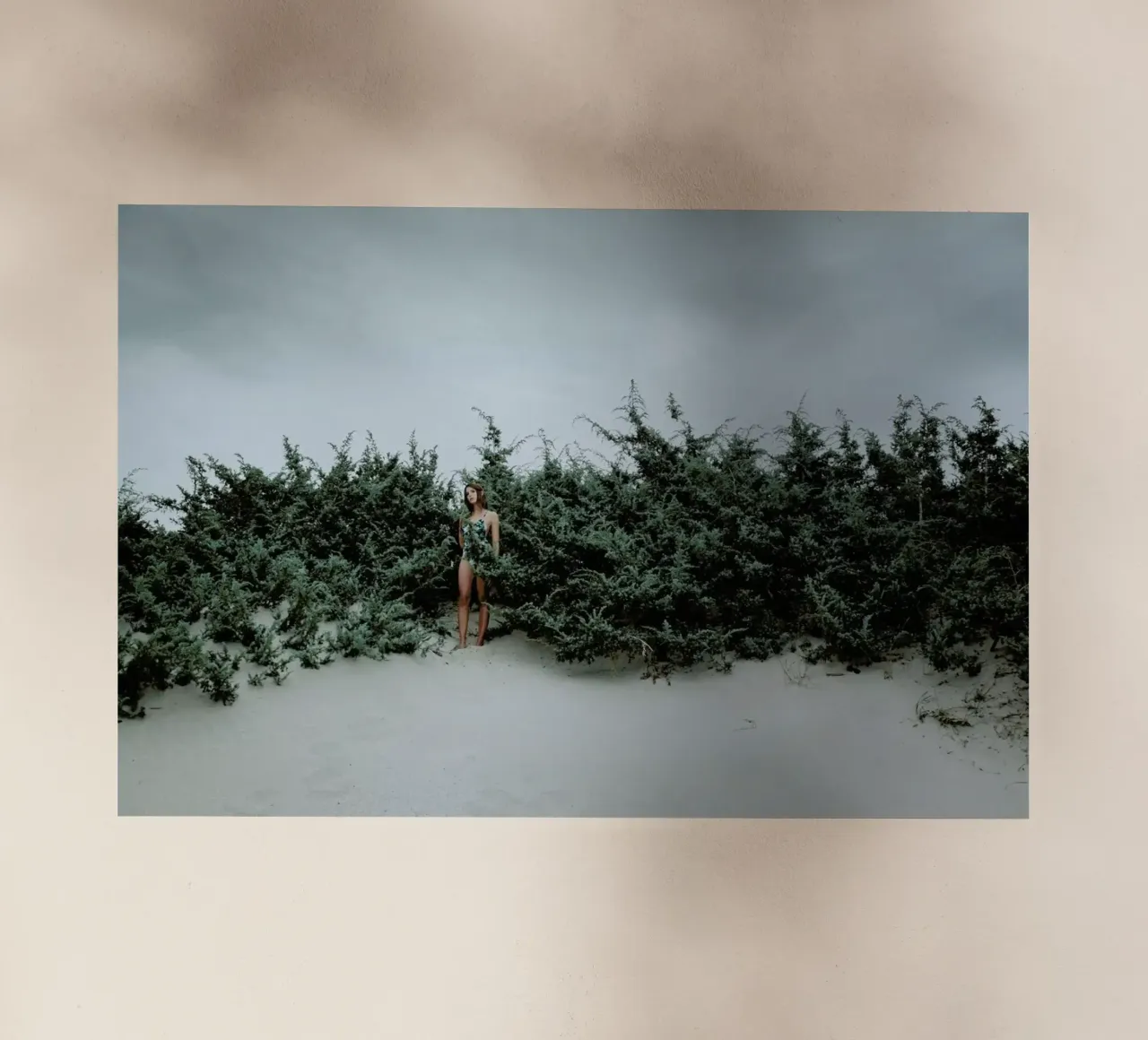 Eve @FrancescoSambati pellicola backlit da EyeEm Mobile GmbH