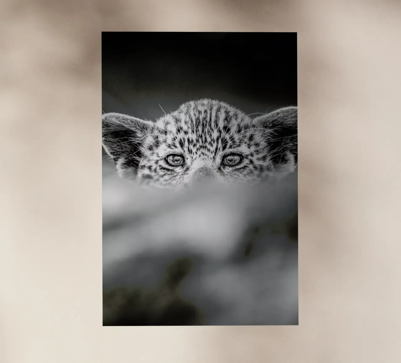 Hide and Seek pellicola backlit da Natural Kingdom