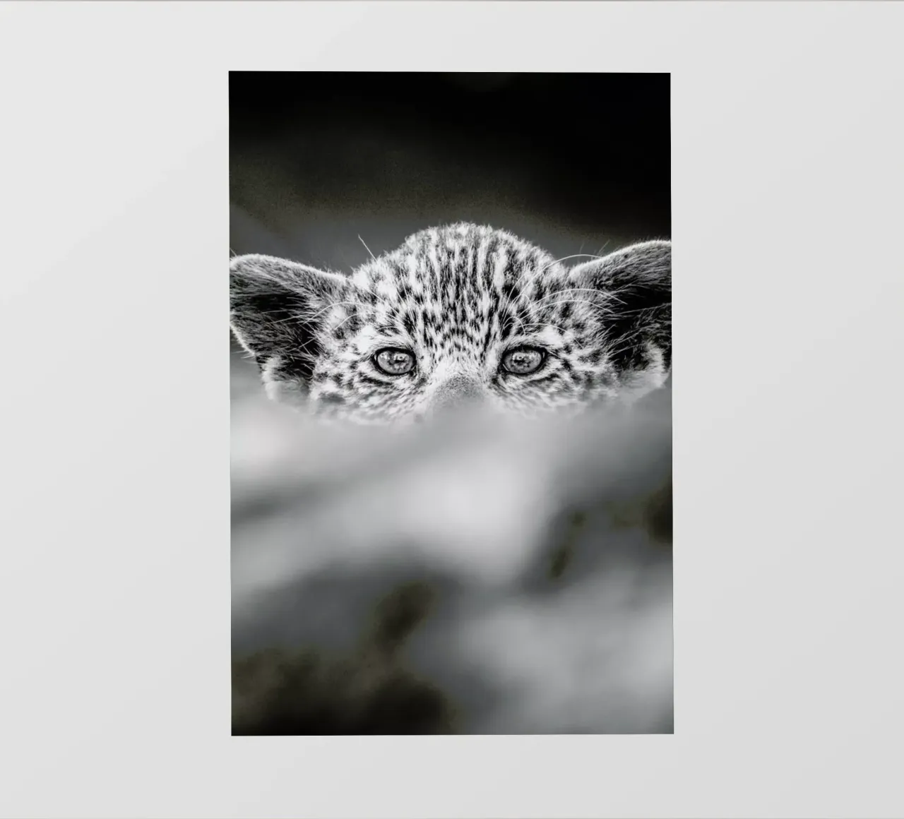 Hide and Seek pellicola backlit da Natural Kingdom